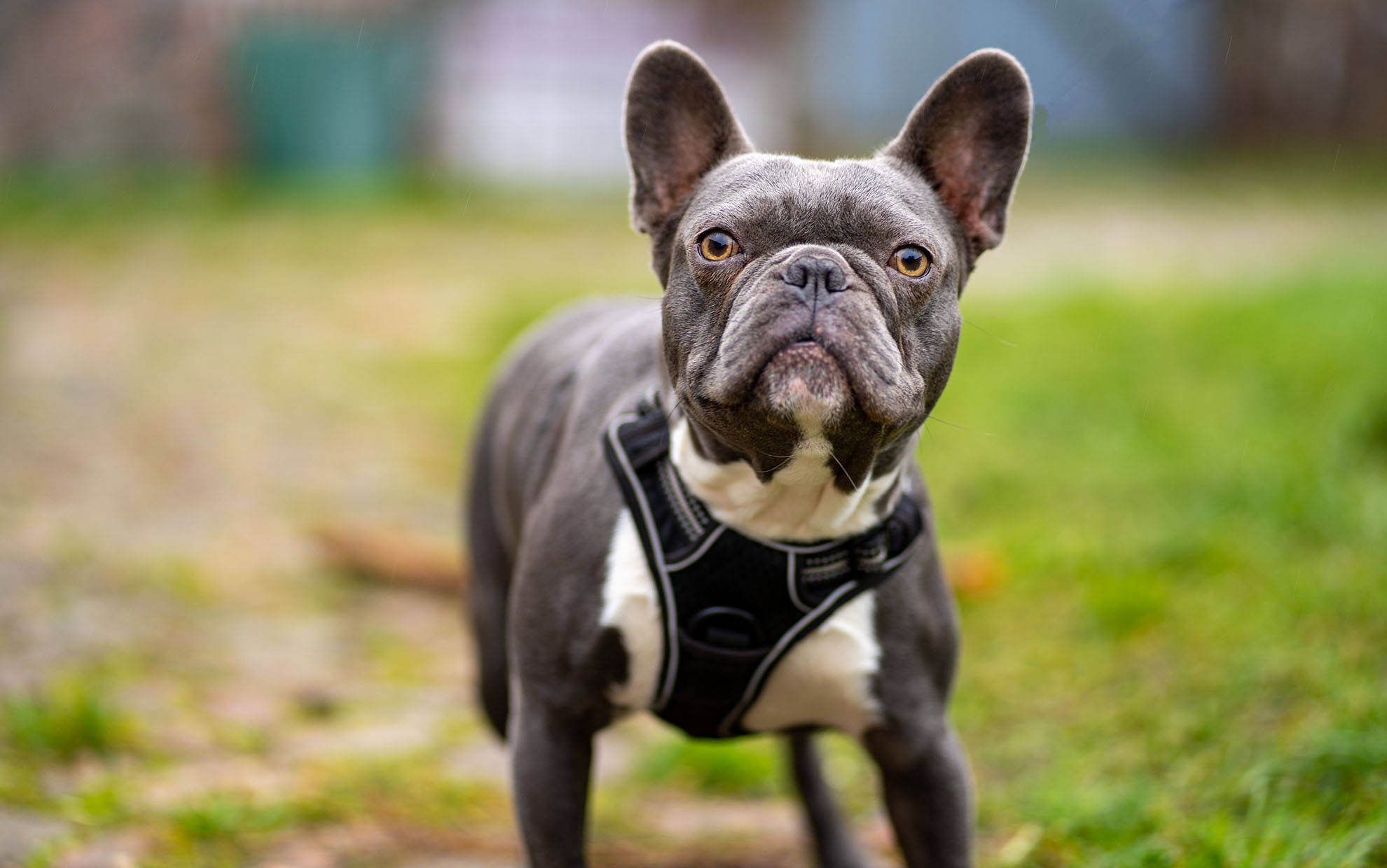 Foto Tobi, Foto Tobi, Familienshooting, Familienfotograf, Familienfotos, Fotobuch, Schöne Bilder