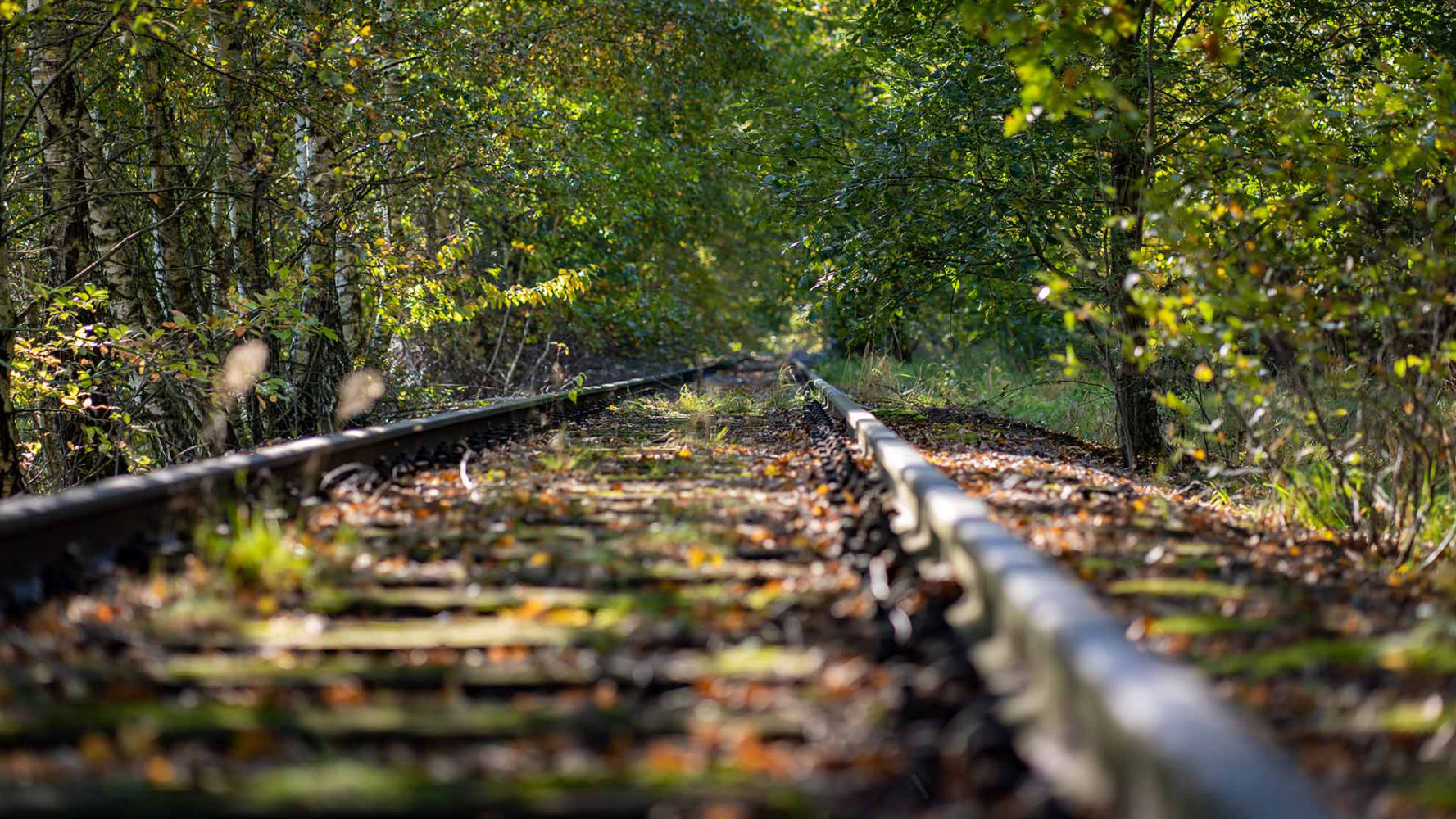 Hochzeitsfotografie, Hochzeitsfotograf, Fotograf, Schöne Bilder, Foto Tobi, Foto-Tobi, Freizeitfotografie, Natur, Landschaft, Sächsische Schweiz, Bastei