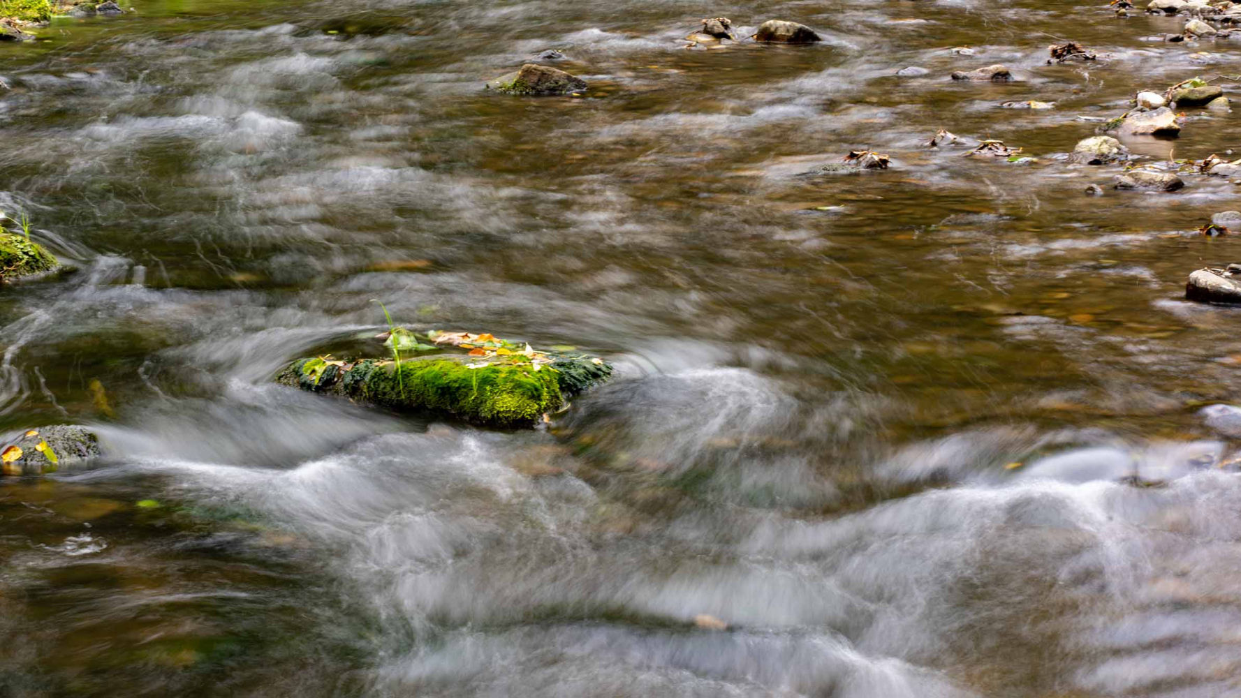 Hochzeitsfotografie, Hochzeitsfotograf, Fotograf, Schöne Bilder, Foto Tobi, Foto-Tobi, Freizeitfotografie, Natur, Landschaft, Sächsische Schweiz, Bastei