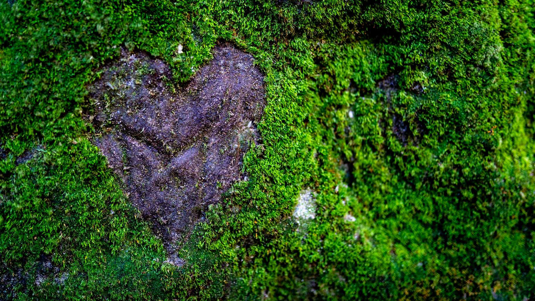 Hochzeitsfotografie, Hochzeitsfotograf, Fotograf, Schöne Bilder, Foto Tobi, Foto-Tobi, Freizeitfotografie, Natur, Landschaft, Sächsische Schweiz, Bastei