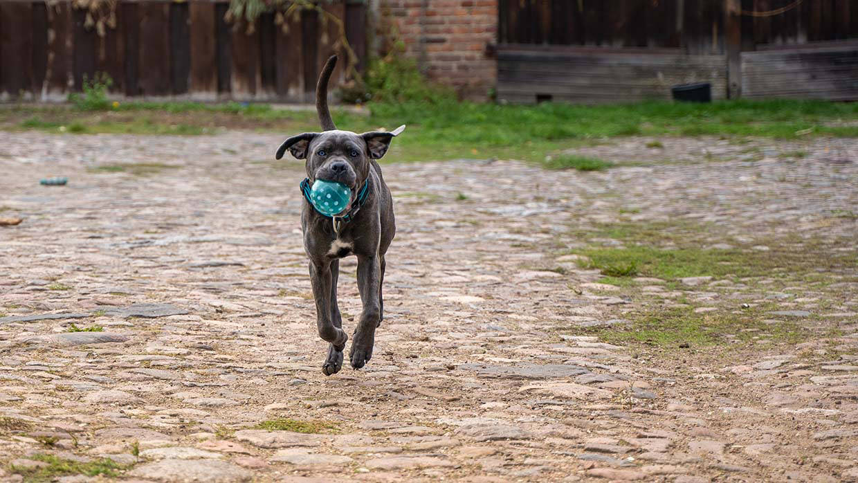 Foto Tobi, Foto Tobi, Familienshooting, Familienfotograf, Familienfotos, Fotobuch, Schöne Bilder