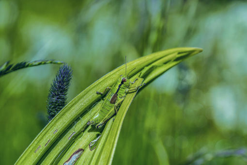 Foto-Tobi,Blog,Foto Tobi, Tobias Tölle, 