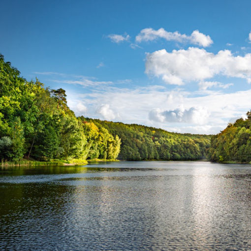 Foto-Tobi,Blog,Foto Tobi, Tobias Tölle, 