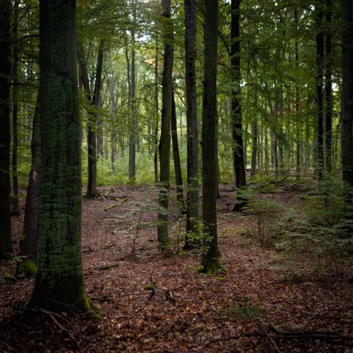 Foto-Tobi,Blog,Foto Tobi, Tobias Tölle, 